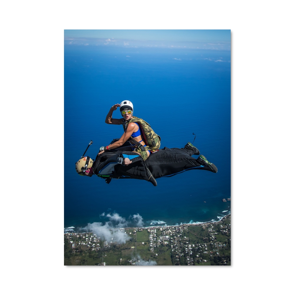 Poster Vol Aquatique